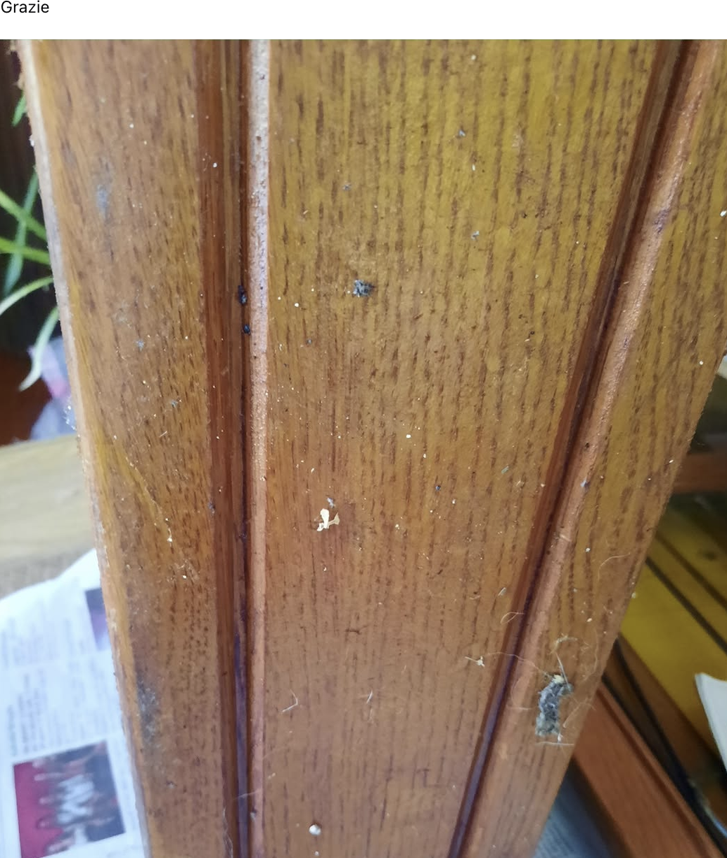 Buongiorno, appartamento liberato a seguito di sfratto. Come posso sgrassare questo mobile? Due mobiletti della cucina sono in queste condizioni. Completamente appicciccosi tanto è l'unto. Grazie
